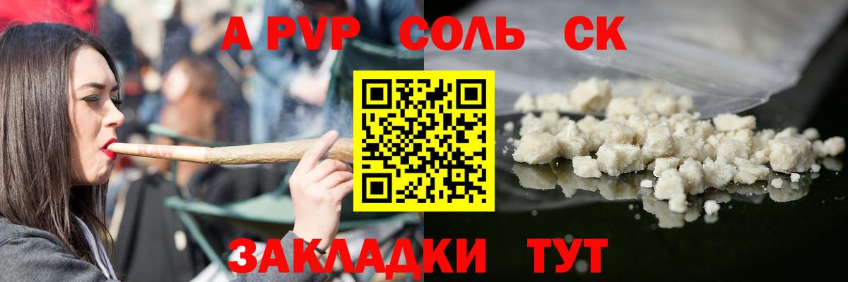 Альфа ПВП СК Шебекино