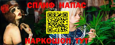 прущий лед Будённовск