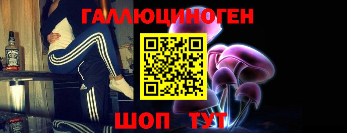 Шебекино  Галлюциногенные грибы прущие грибы  Вход с VPN 